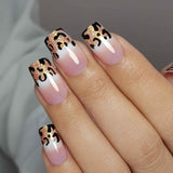 Elegant Leopard medium square press-on nails