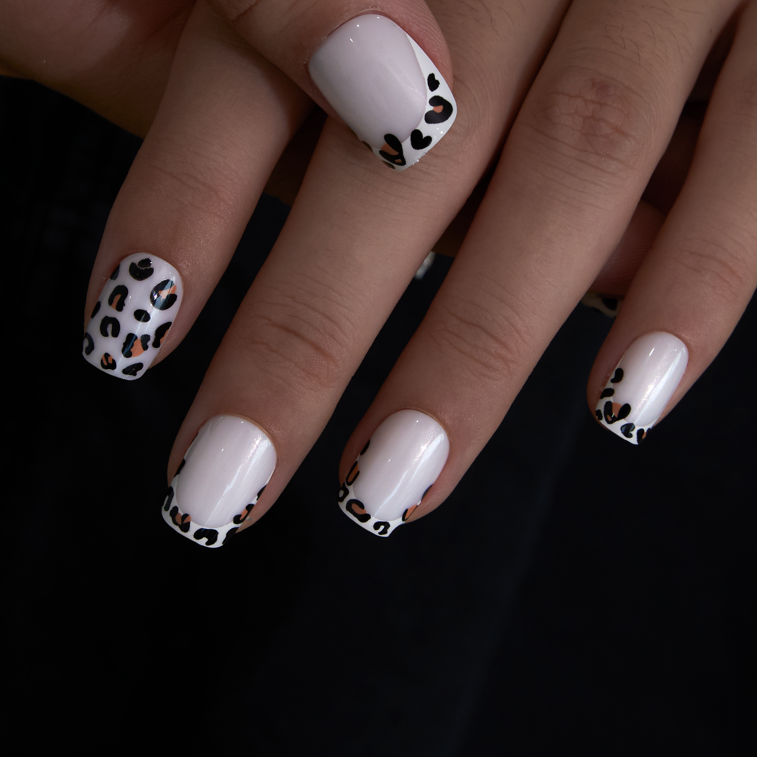 Leopard Chic – short Squoval press-on nails packaging
