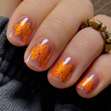 Autumn Leaves – short Squoval press-on nails packaging