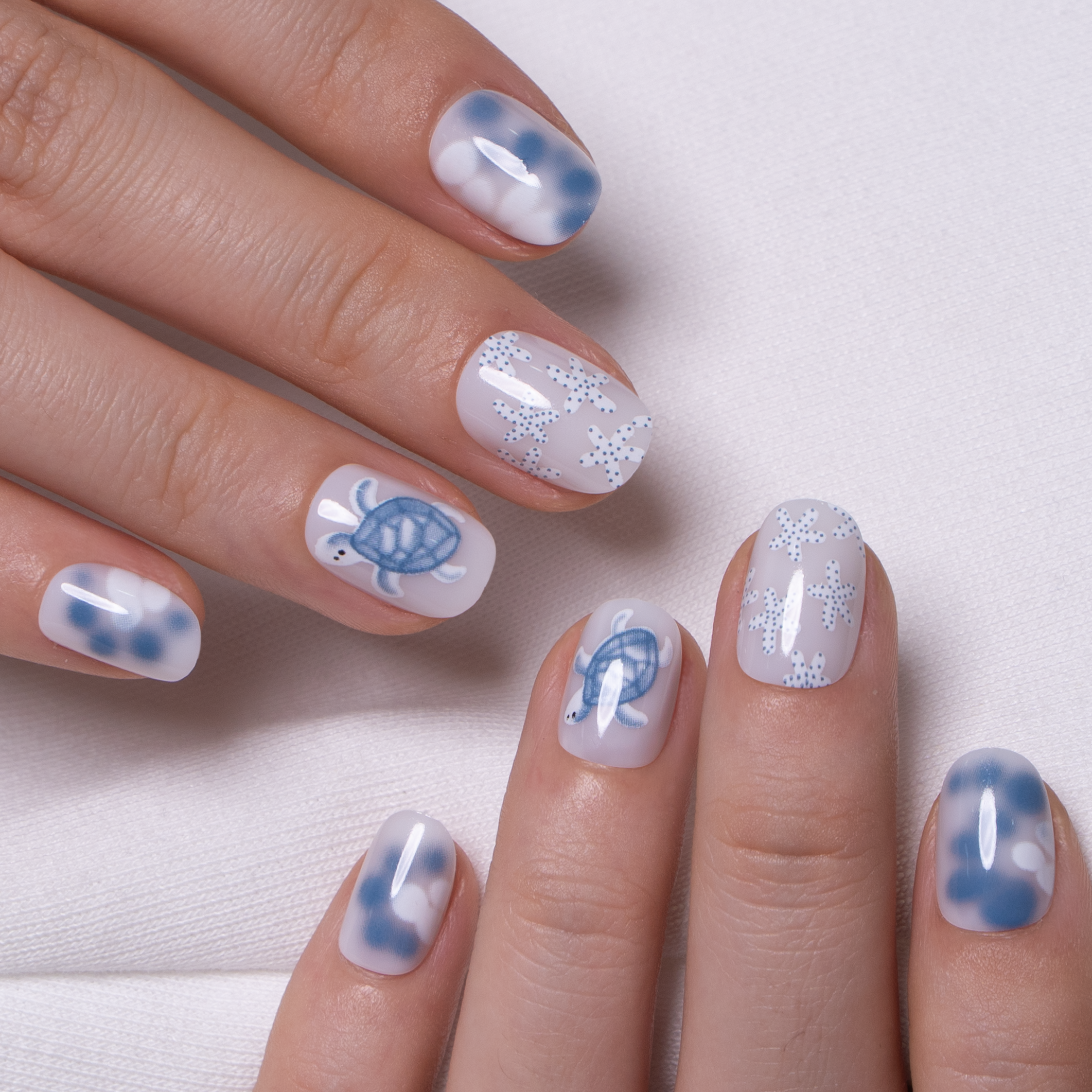 Turtle Dream RS Squoval squoval press-on nails